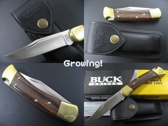 BUCK 110 folding hunter 