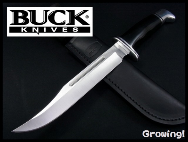 バックナイフ　BUCK　120　ハンティングナイフ-