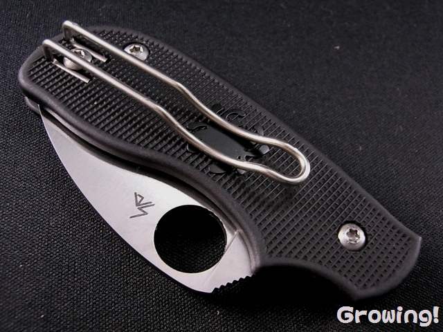 spyderco スパイダルコ SQUARK-