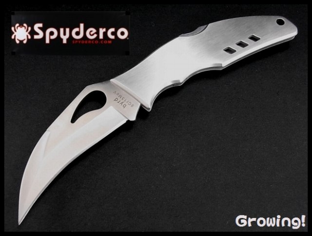 ナイフショップ グローイング！□Spyderco【スパイダルコ】□ byrd 