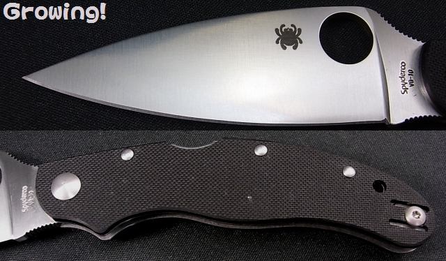 ナイフショップ グローイング！□Spyderco【スパイダルコ】□ Calypso3.5 カーボンファイバー VG-10 【直刃】