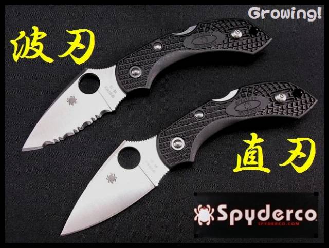 ナイフショップ グローイング！□Spyderco【スパイダルコ】□ ドラゴン