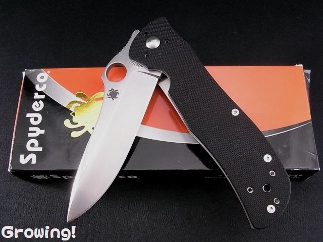 ナイフショップ グローイング！□Spyderco【スパイダルコ】□ STARMATE スターメイトTerzuolaデザイン【直刃】