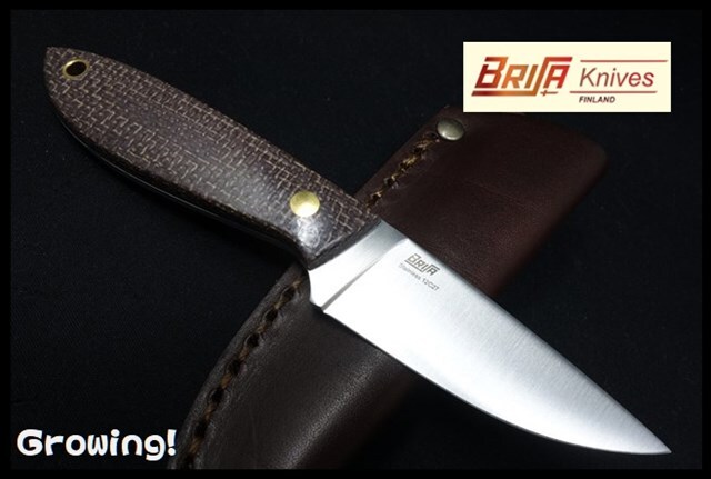 BRI036-9964-5.jpg