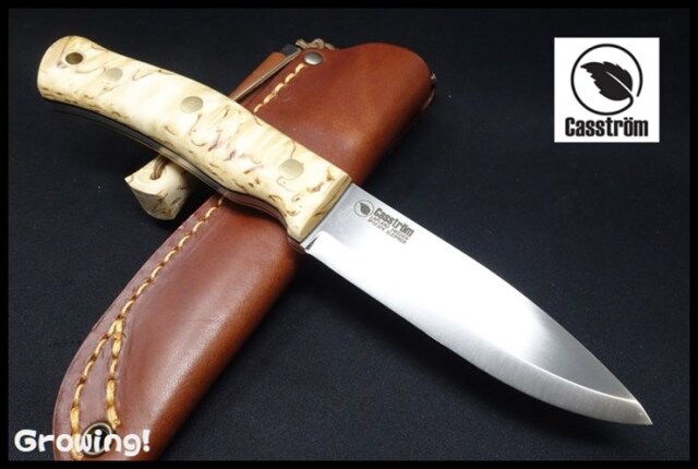 CASS13124-01.jpg