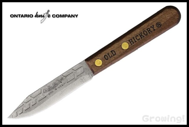 ONOH753-1.jpg