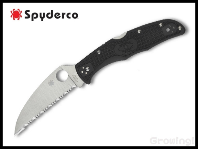 SP-C10FSWCBK-1.jpg