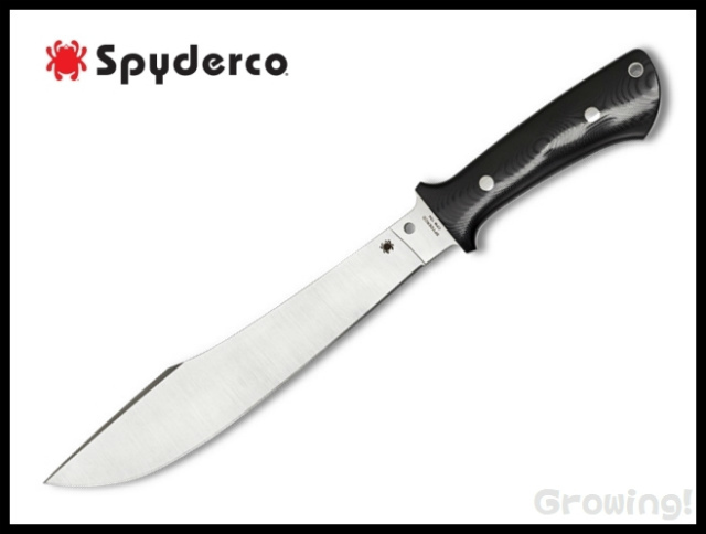 SP-FB41GP-1.jpg